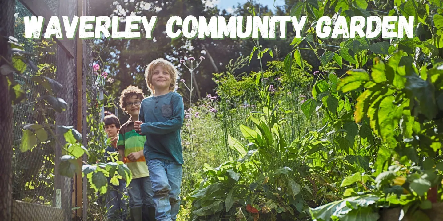 Waverley Community Garden Open Day - September 2026
