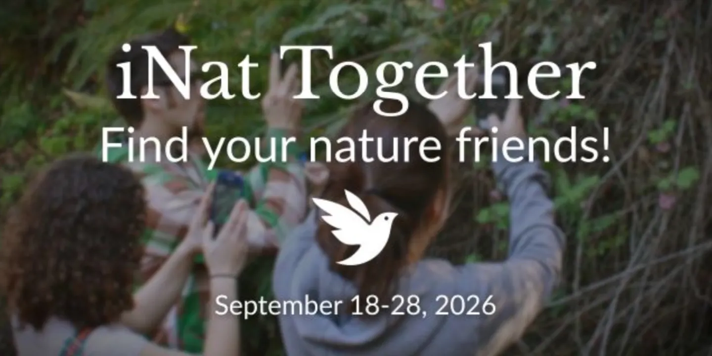 iNat Together — Introductory Outdoor Workshop in Pakapakanthi