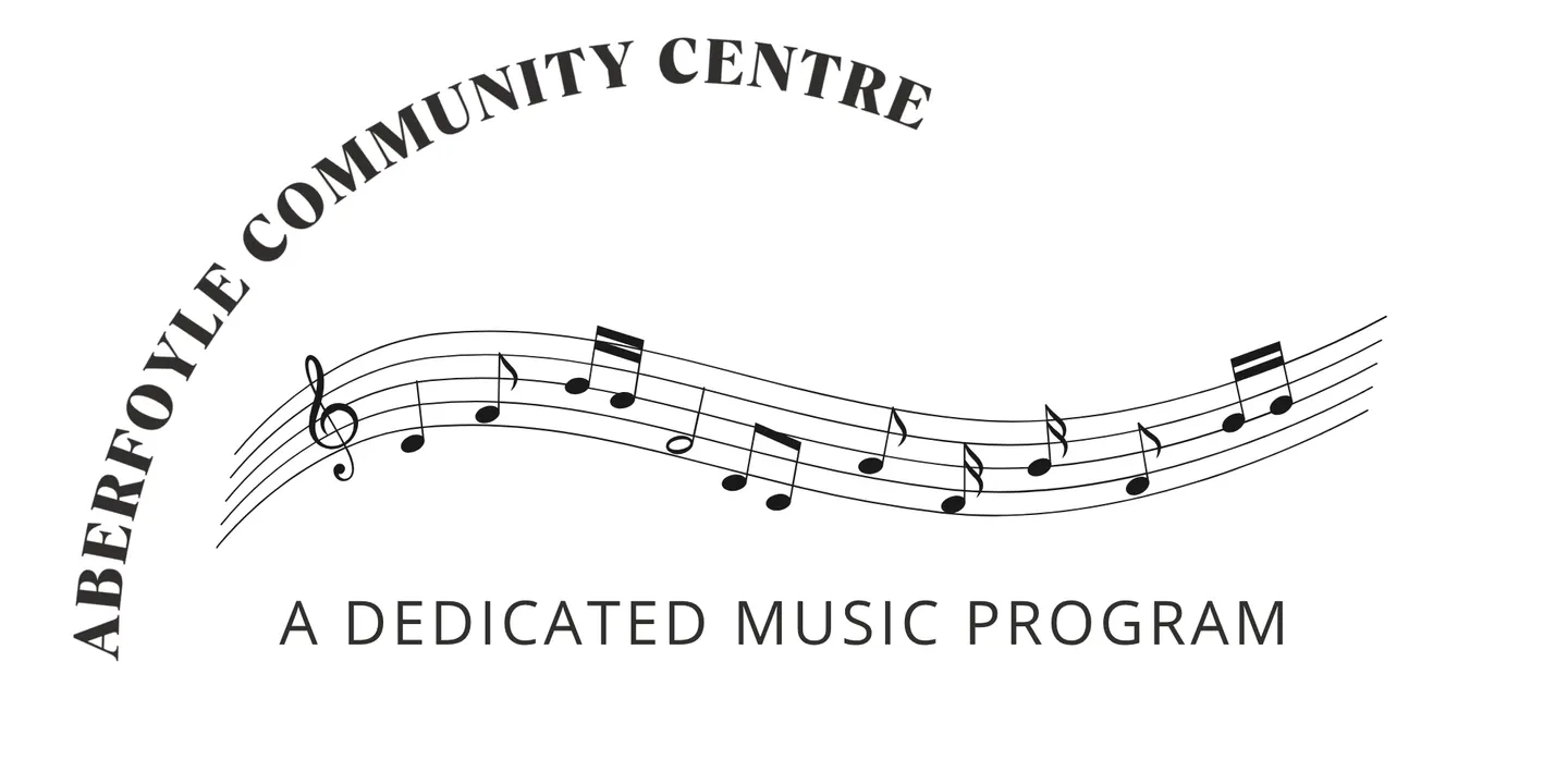 Guitar Lessons Term 4