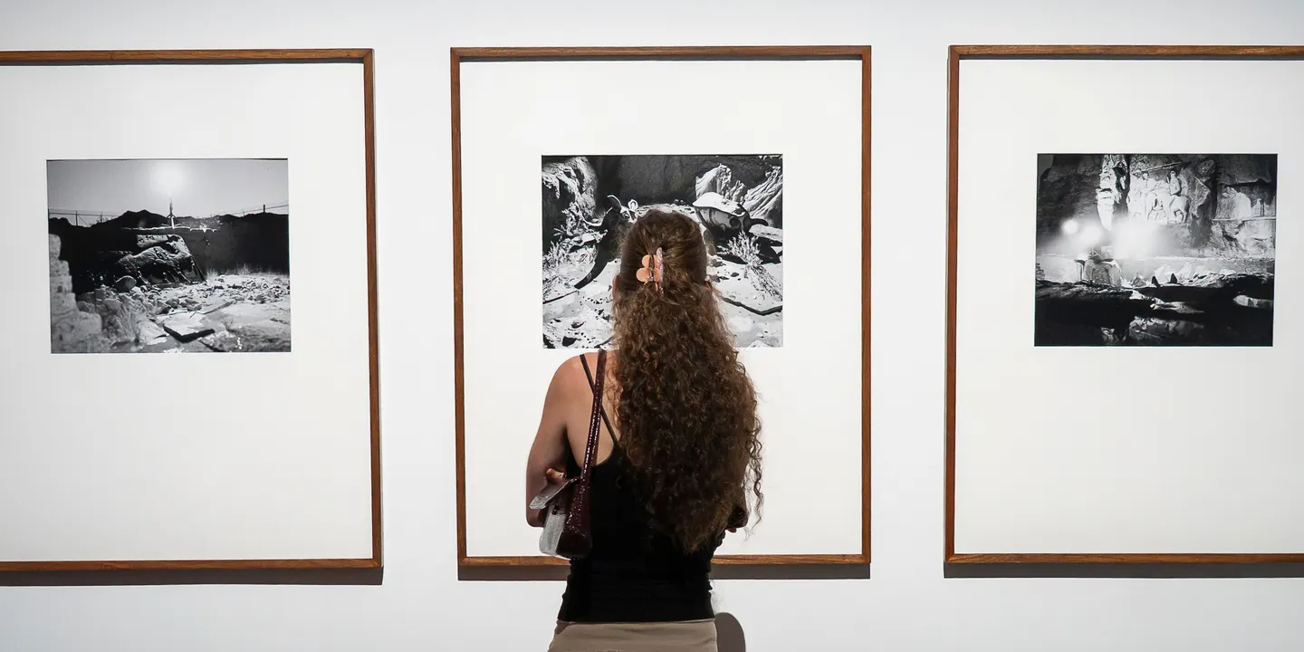 Art in Focus | NEW26