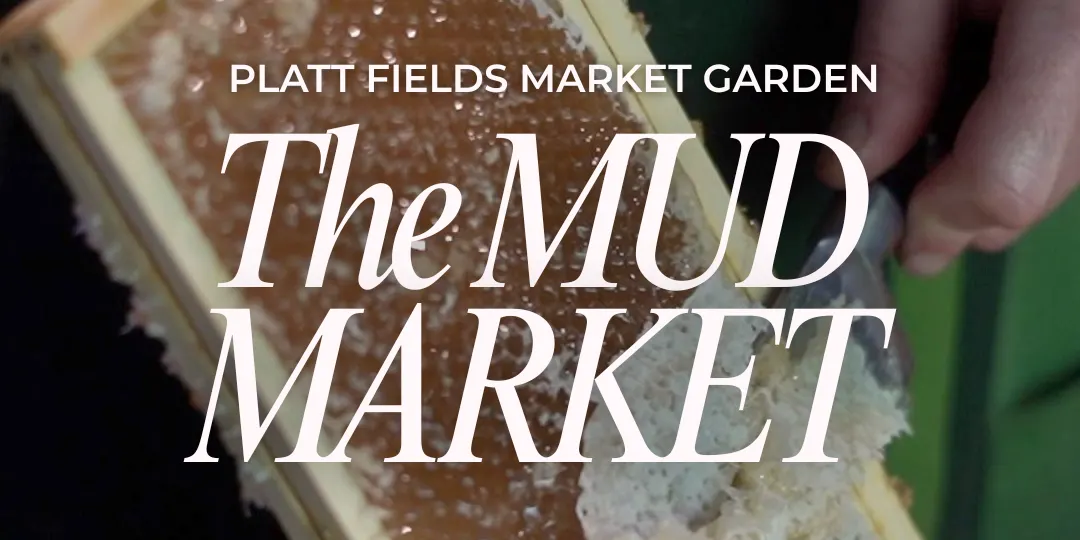 The October MUD Market