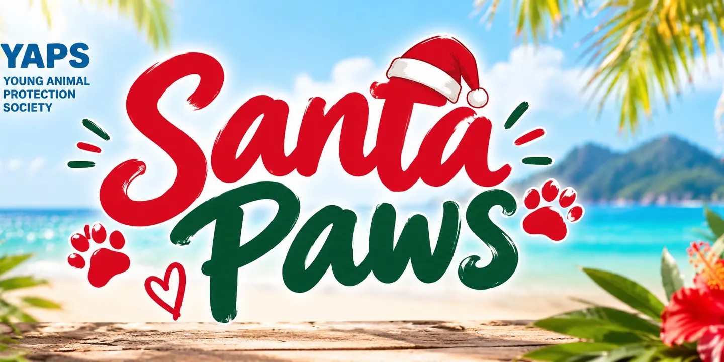 Santa Paws at Limberlost!