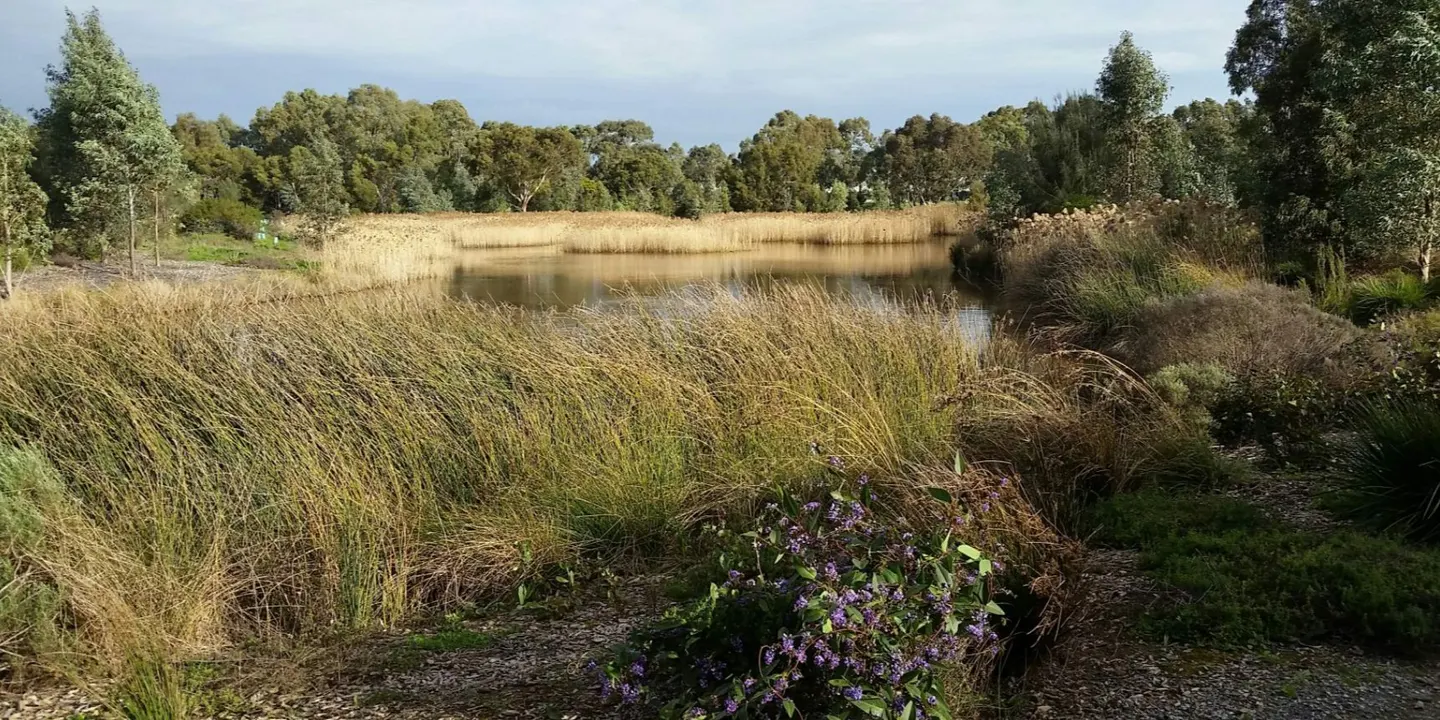 Make a Date with Nature at Reynella East Wetlands and Creeks