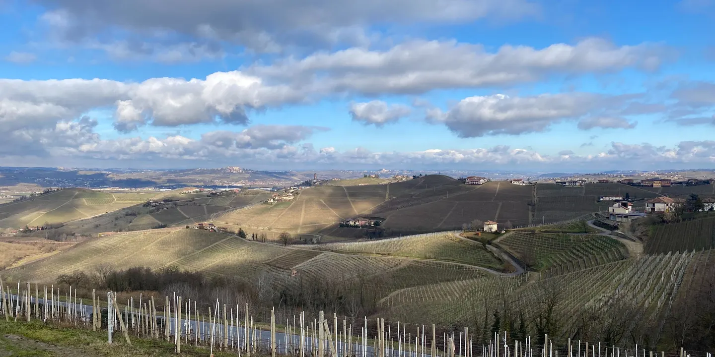 Piedmontese Wine Tasting with Vite Colte in Barolo