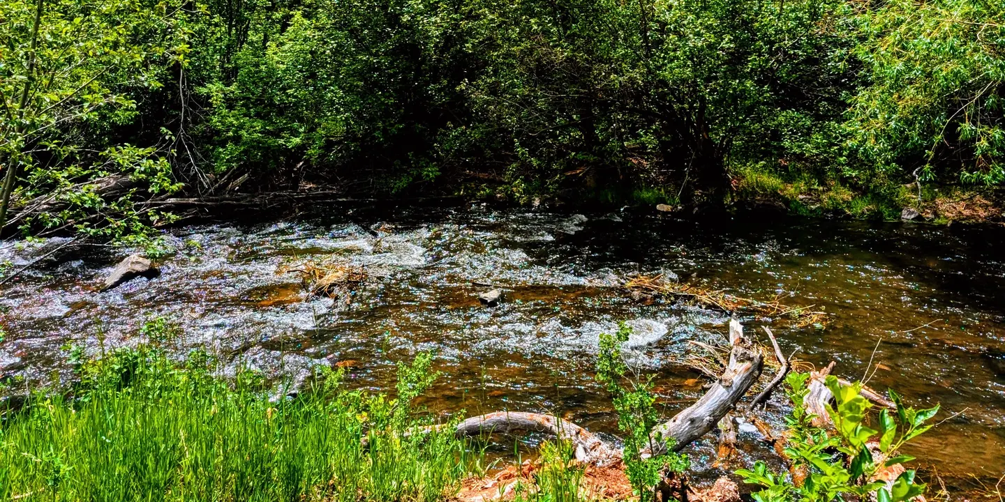 Fly Fishing Class