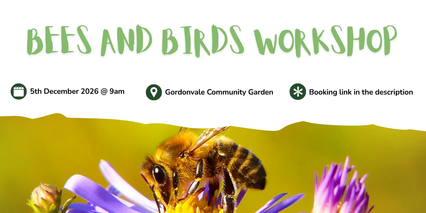Bees & Birds Workshop