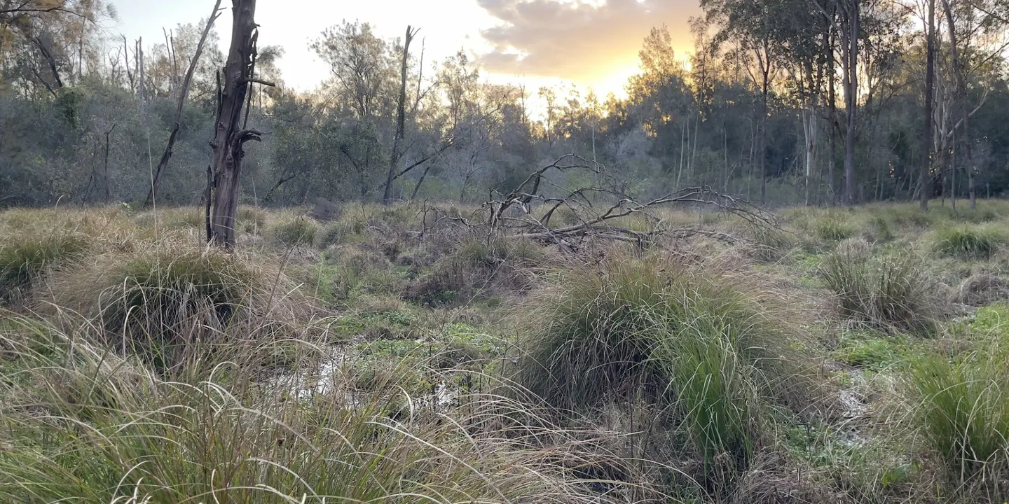 Chats for the Goals: Chain of Ponds