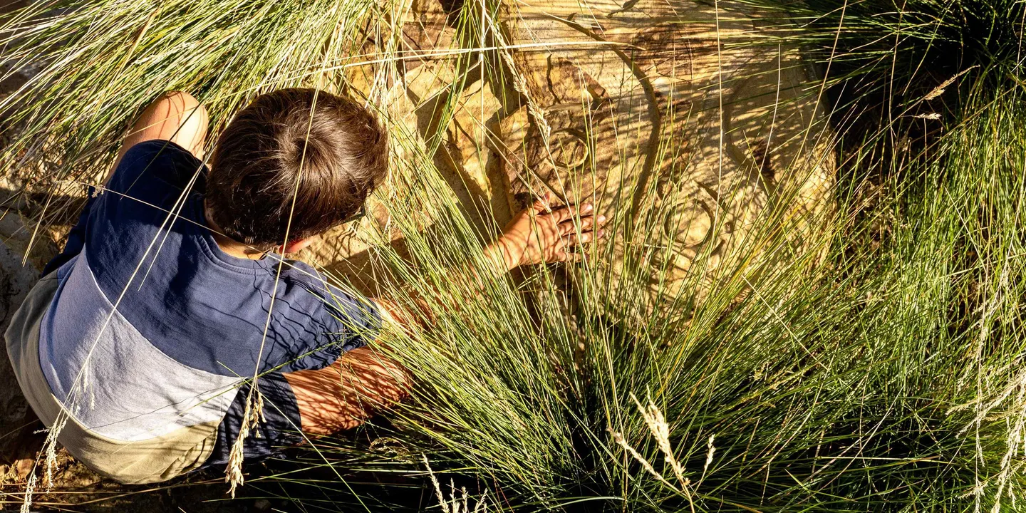 Biodiversity Positive Design: A Talk and Tour with Landscape Architects