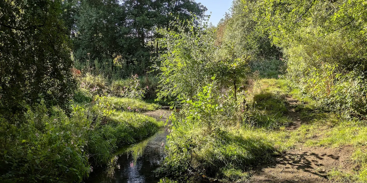 October river monitoring walk - Ford Green Brook central