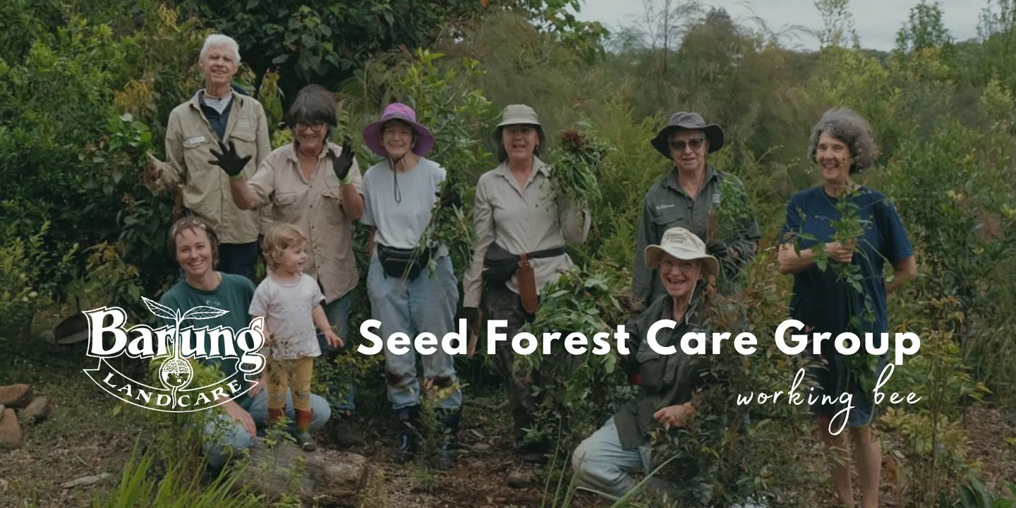 Barung Seed Forest Care Group - Working Bee September 2026