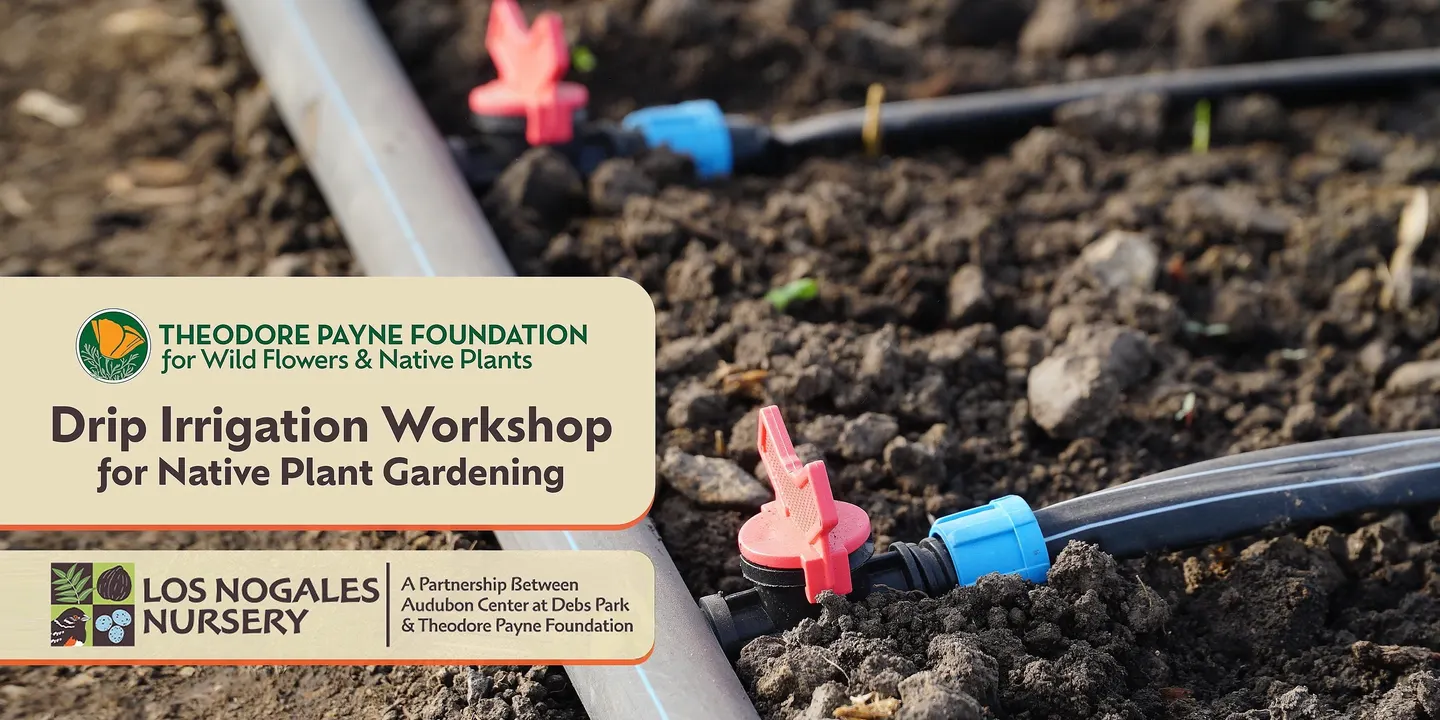 Drip Irrigation Workshop for Native Plant Gardening with Tim Becker — Oct 8, 2026