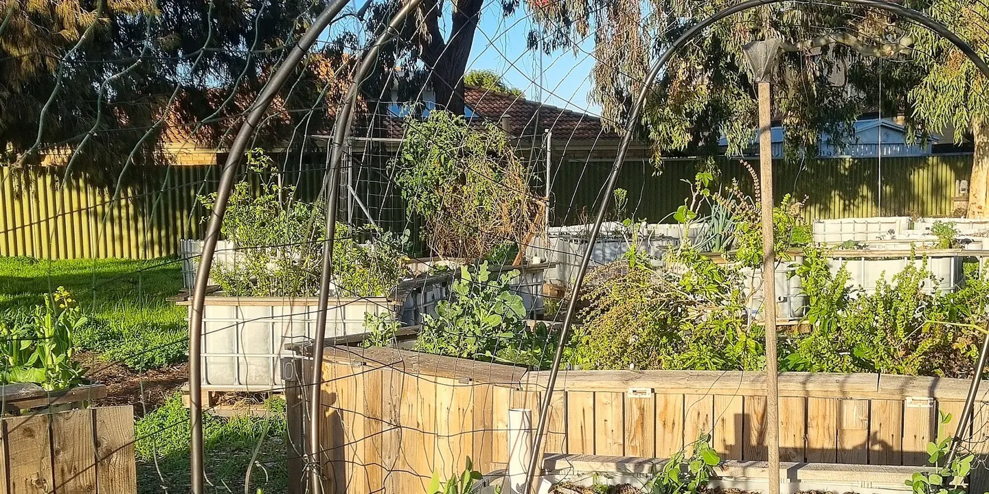 Wicking Beds 101 - Waterwise Gardening