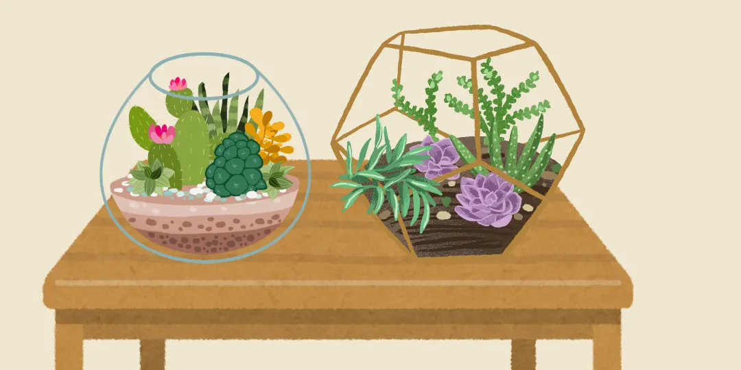 School Holliday : Garden Terrarium Workshop.