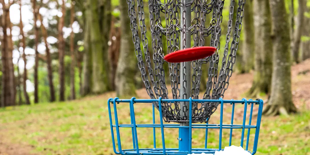 Try Disc Golf @ Vic Park!