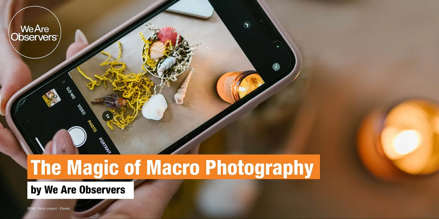 Phone Photography - The Magic of Macro Photography - 14.11.26