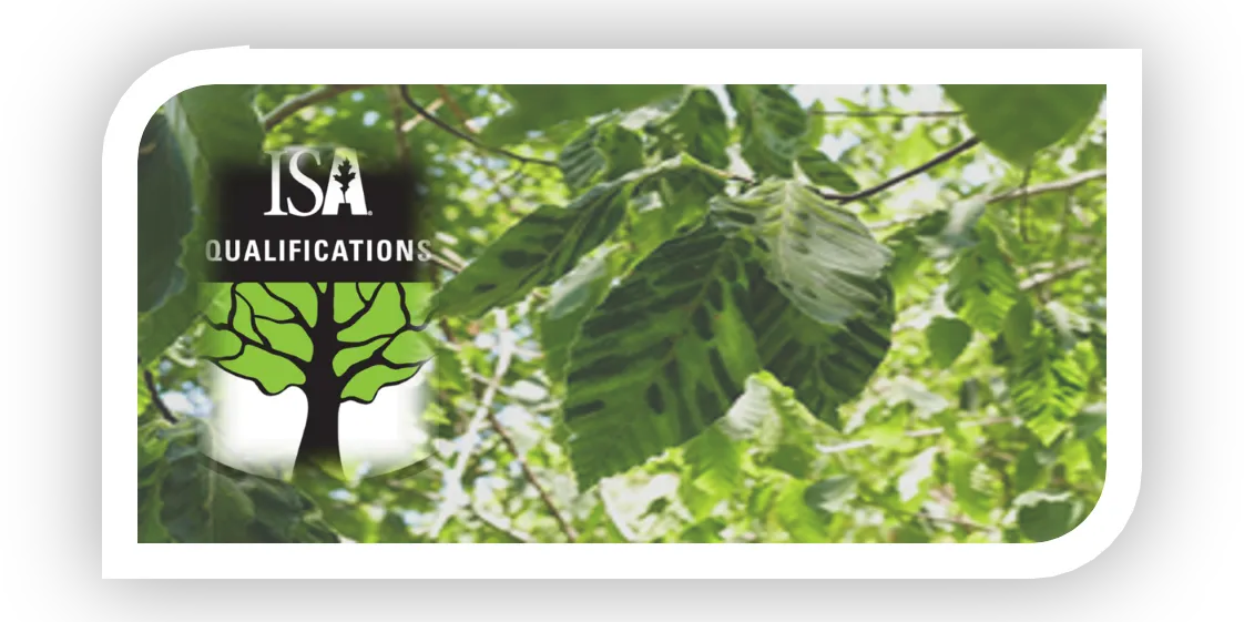 ISA Tree Risk Assessment Qualification (TRAQ)_Version 3.0 - Full Course March 2027