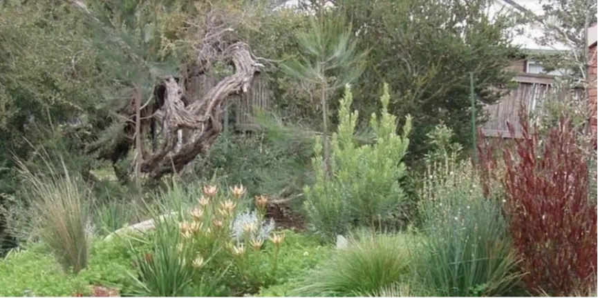 Creating a Habitat Garden