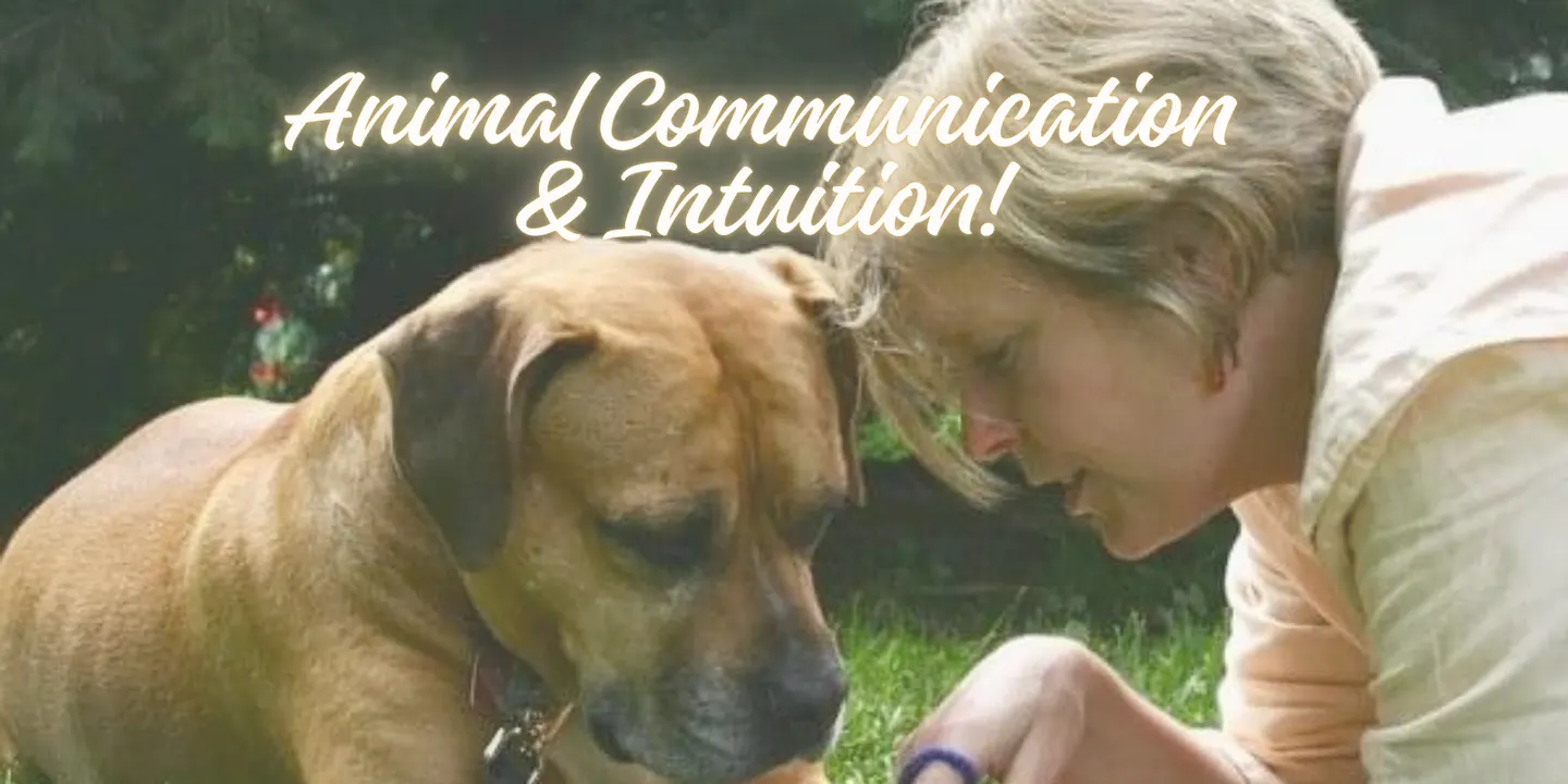 Animal Communication and Intuition