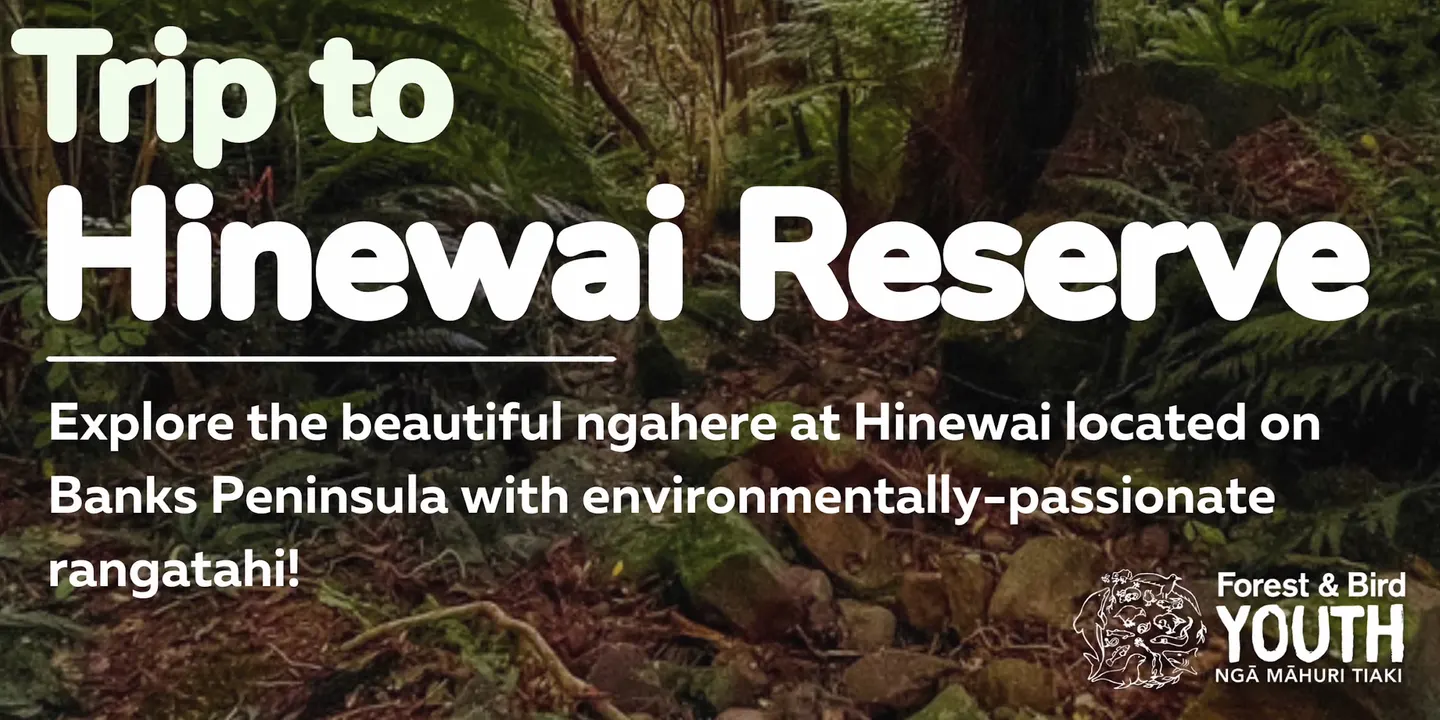 Hinewai Reserve Trip