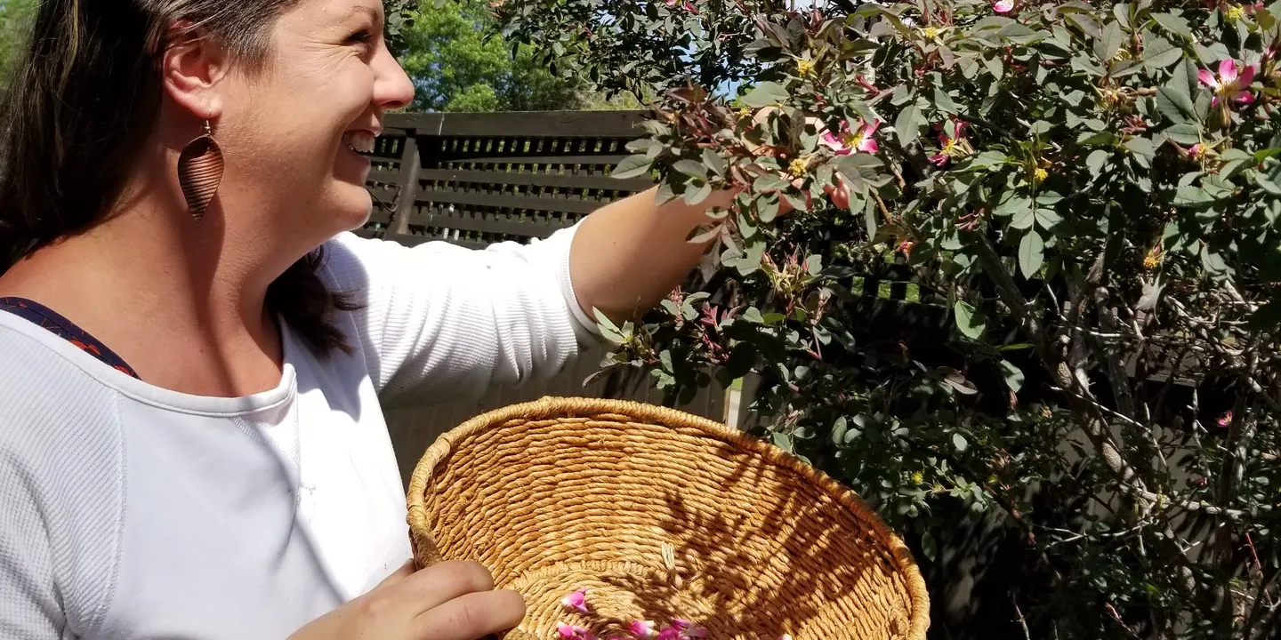 Nature’s Pharmacy – Exploring Medicinal Plants of Spring