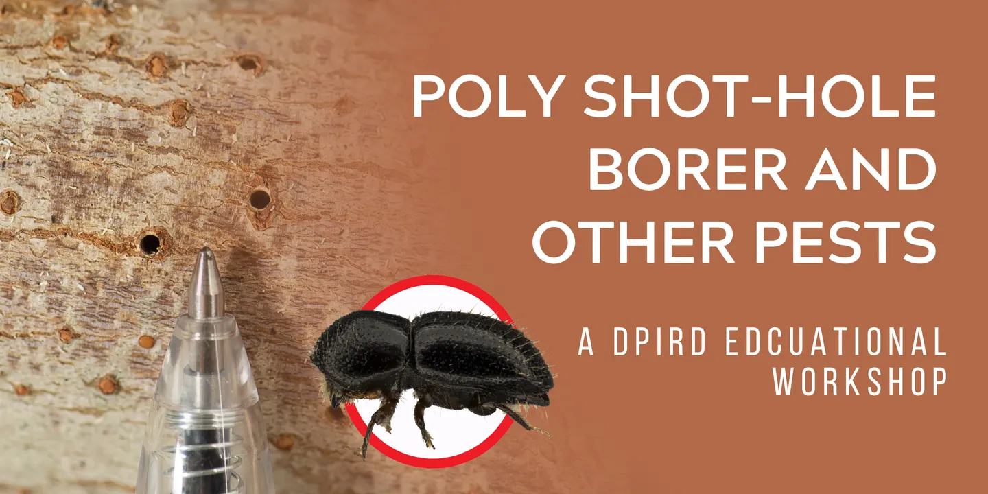 Polyphagous Shot-Hole Borer and Other Pests