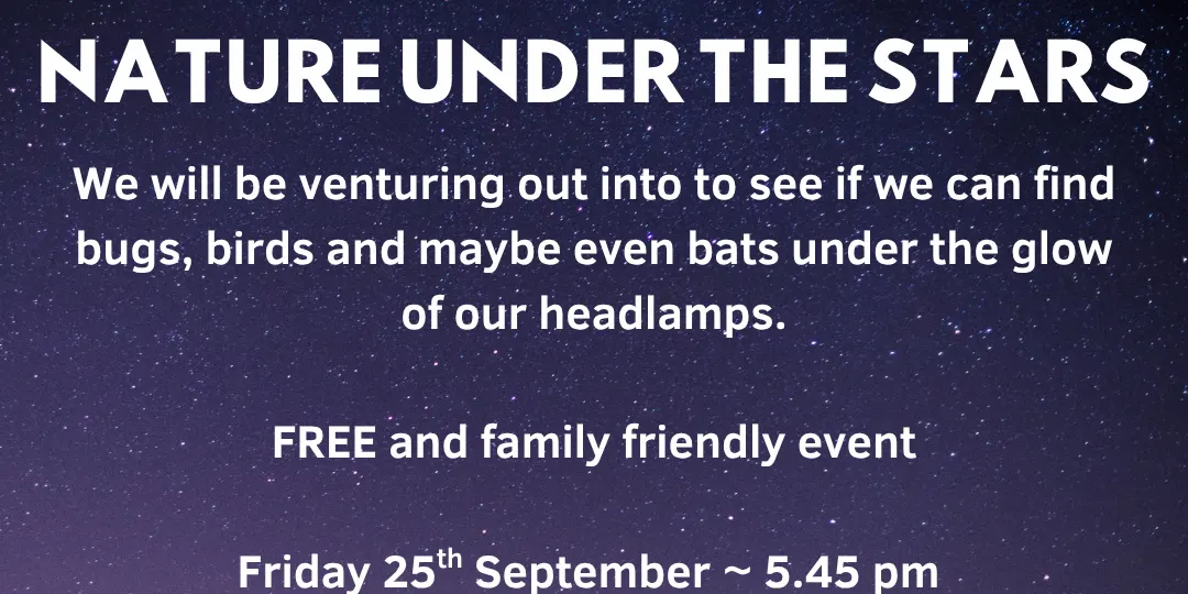 Nature under the stars - Paremoremo