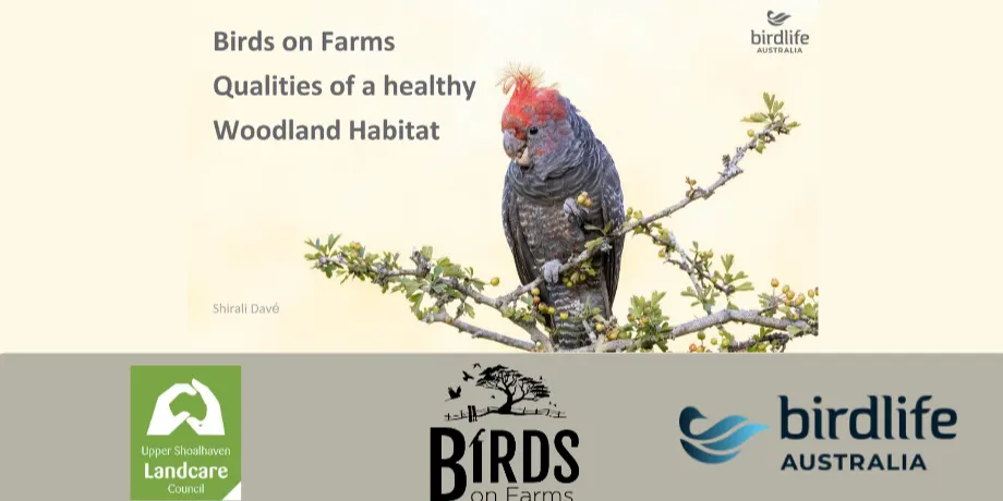 Birds on Farms: Creating Healthy Woodland Habitat