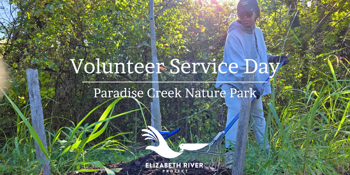 Paradise Creek Nature Park Volunteer Service Day