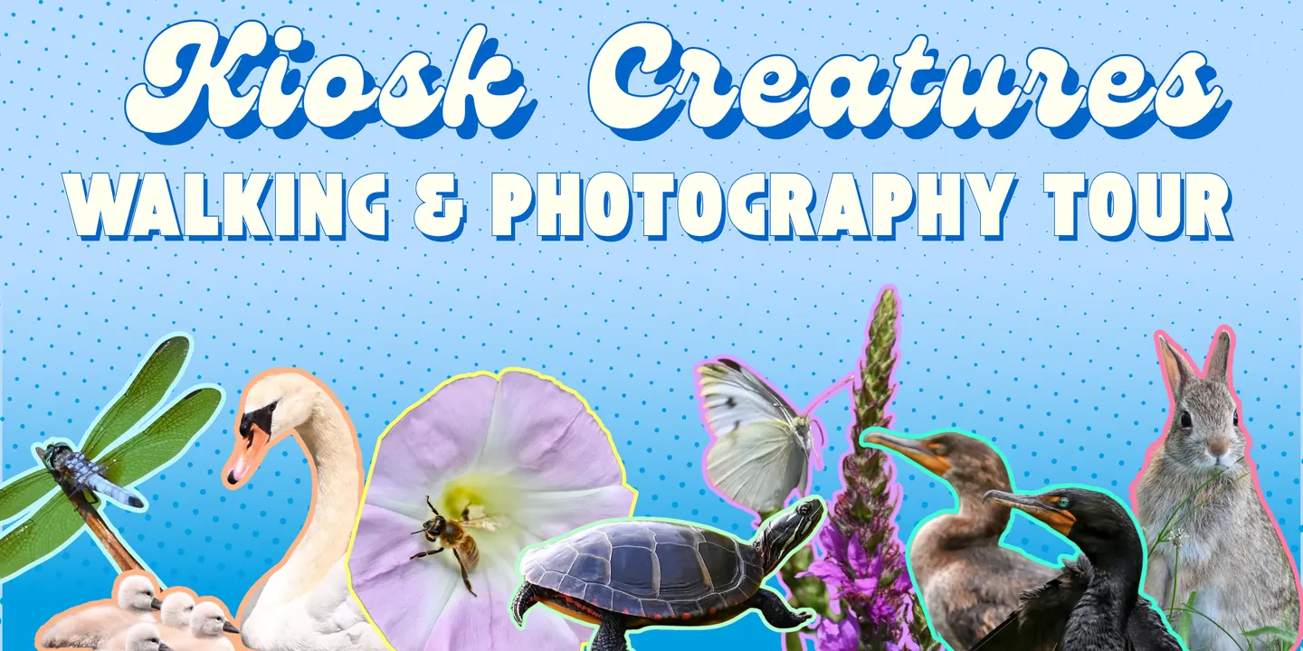 Kiosk Creatures Walking & Photography Tour