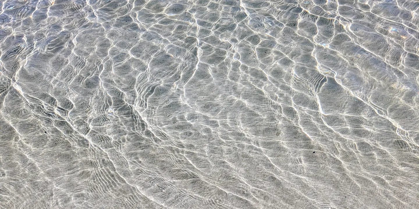 The Breathwork Collective: November Morning 1-1 Breath Circle