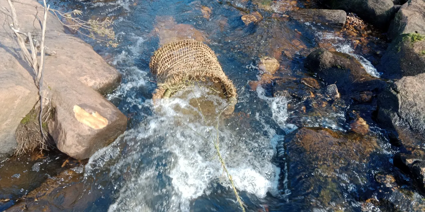 BINDING (WEAVE), CREATE & CONNECT