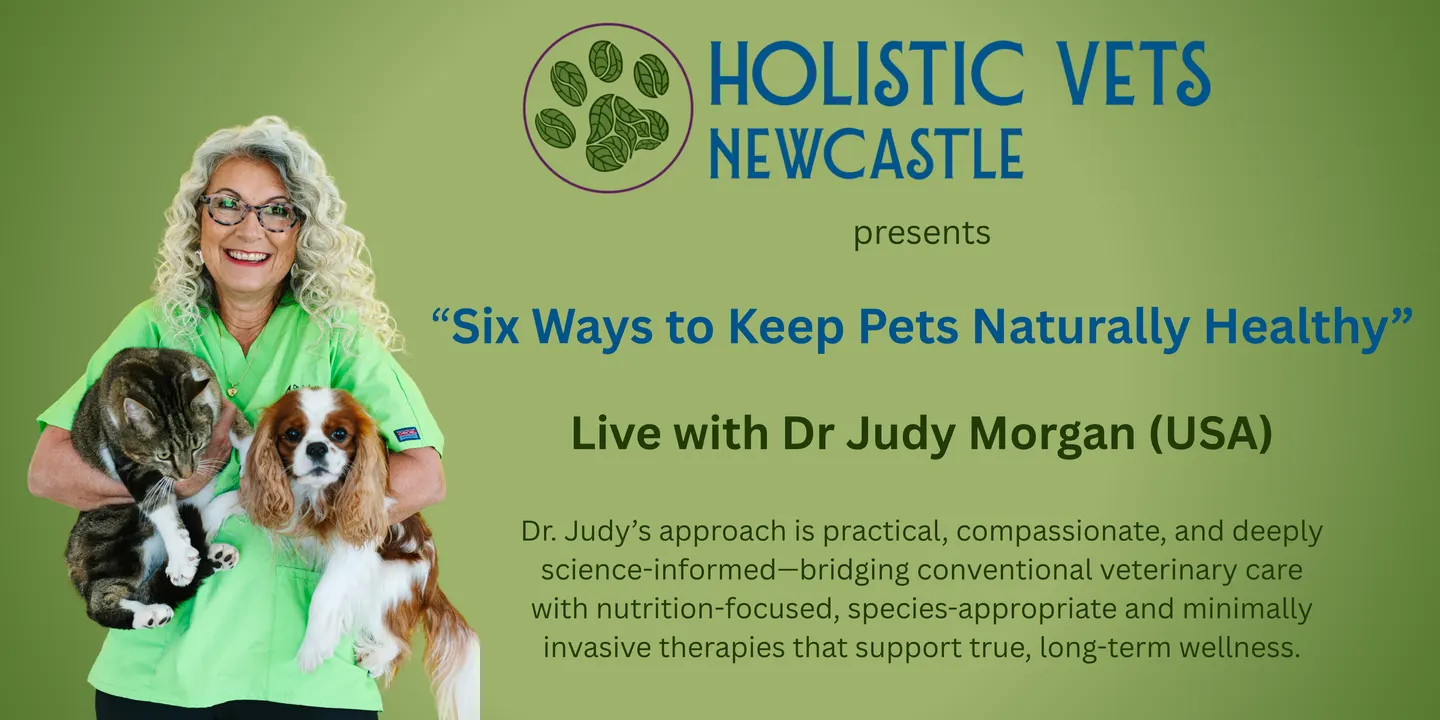 Six Ways to Keep Pets Naturally Healthy – Holistic Vet Dr Judy Morgan Live