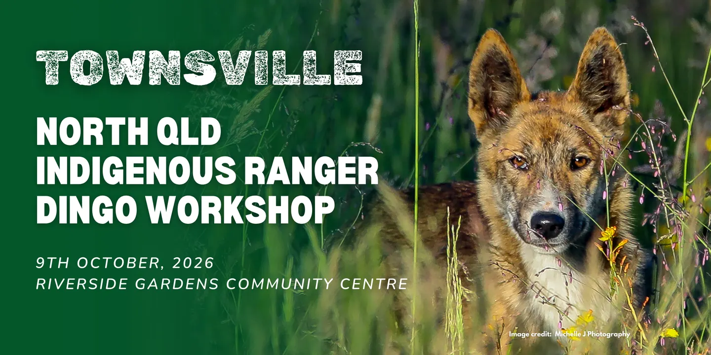 Townsville - North Queensland Indigenous Ranger Dingo Workshop 2026