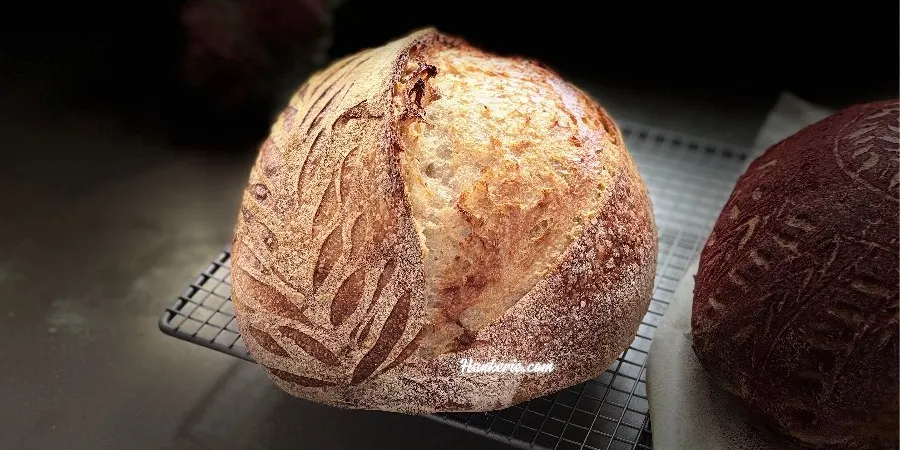 Sourdough Bread Making for Beginners Class at SYDNEY