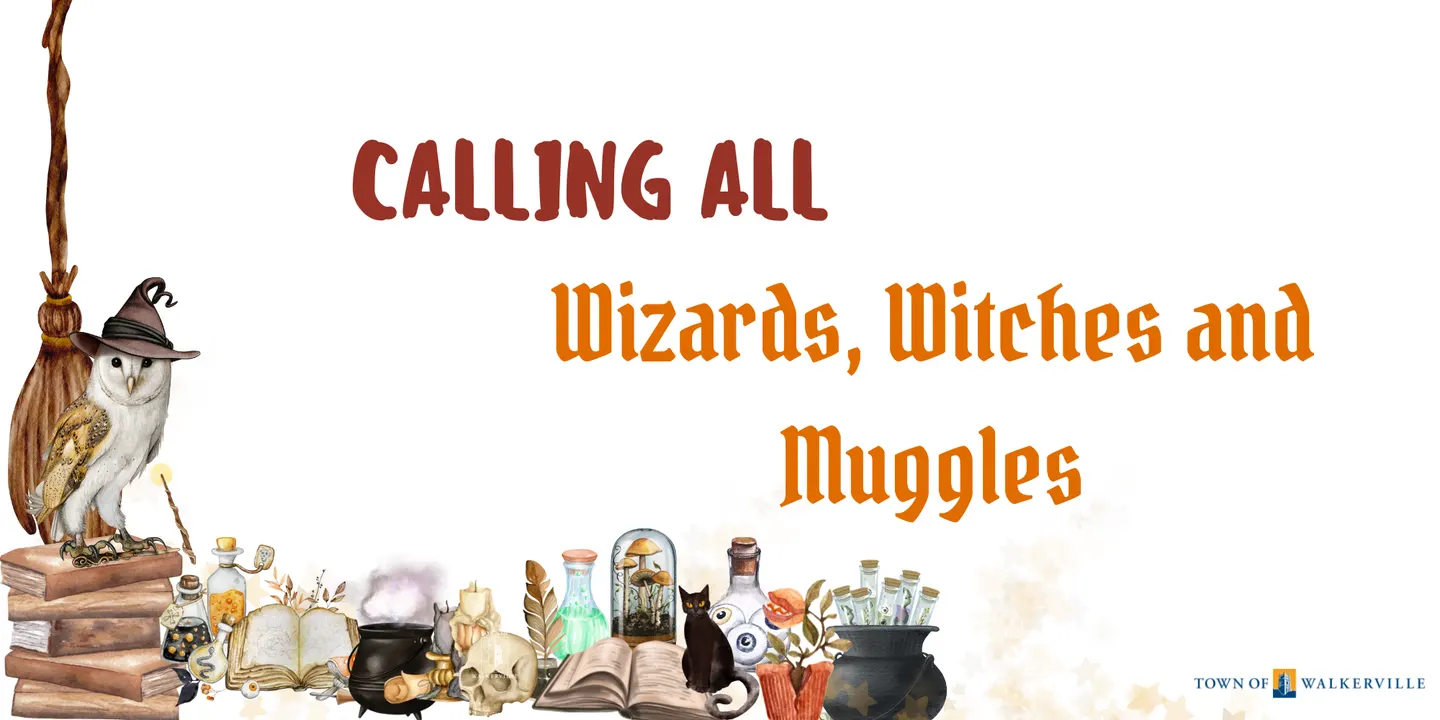 Wizards, Witches and Muggles