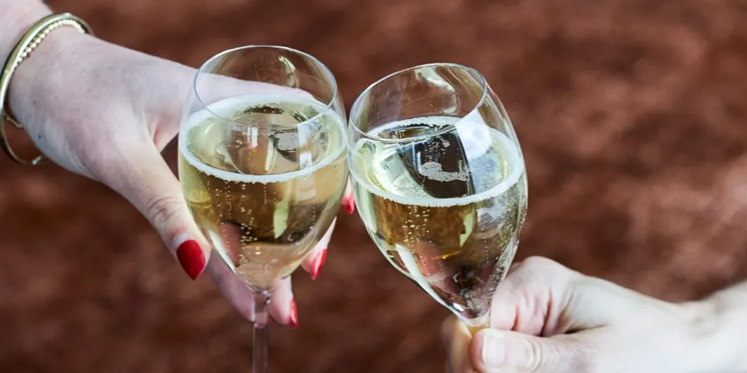 A Curated Evening: Oakdene Wine Masterclass, Three-Course Dinner & After-Hours at Geelong Gallery