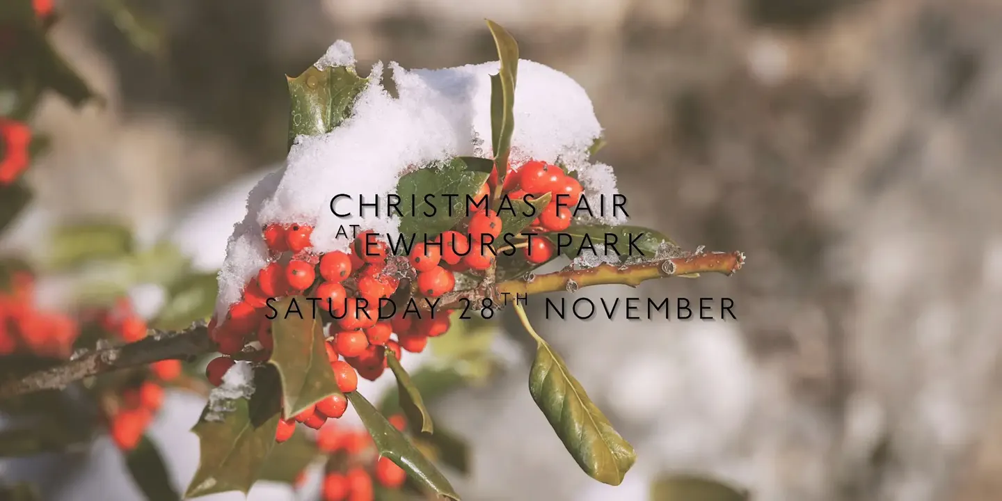 Christmas Fair at Ewhurst Park