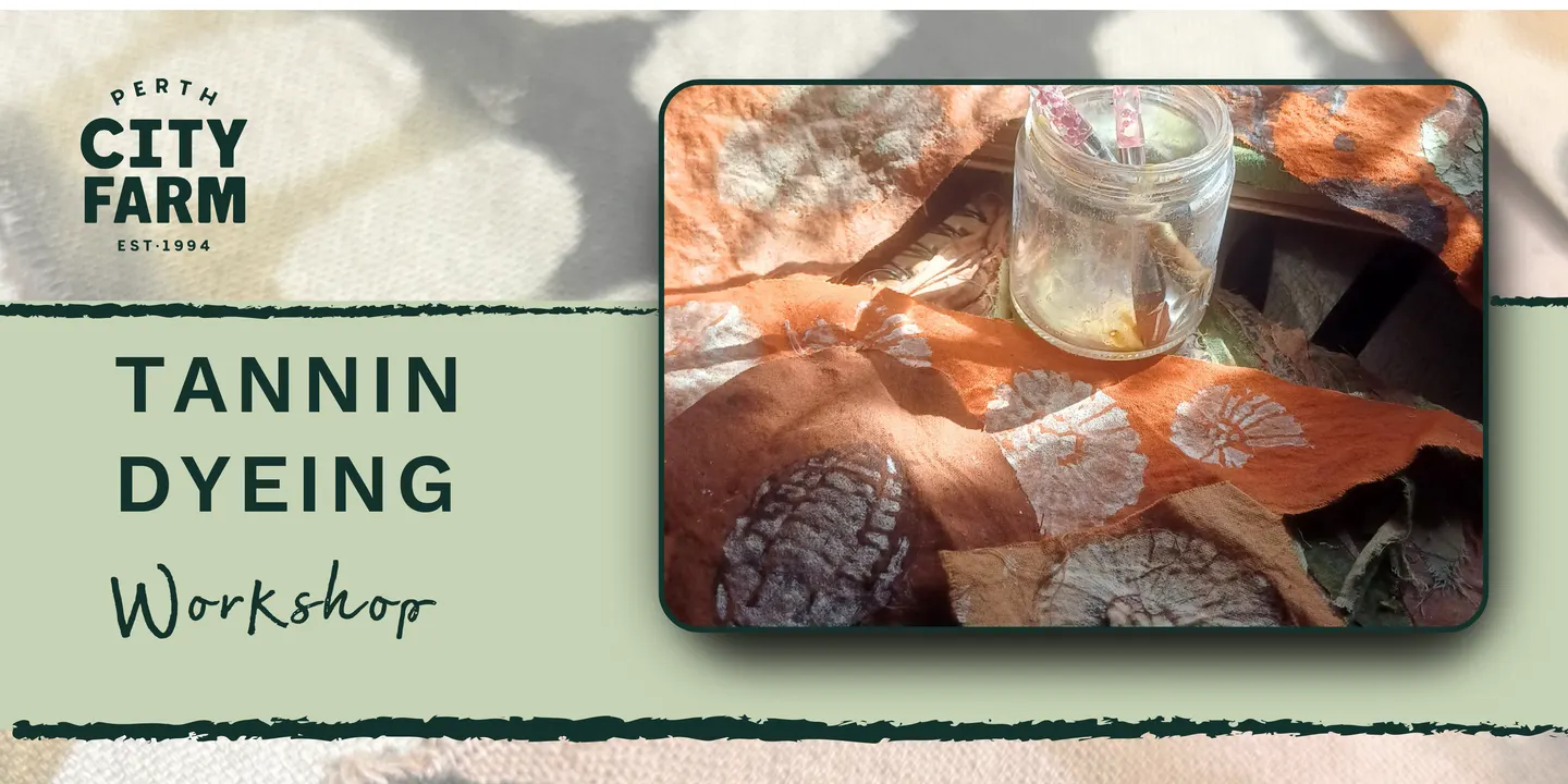 Tannin Dyeing Workshop