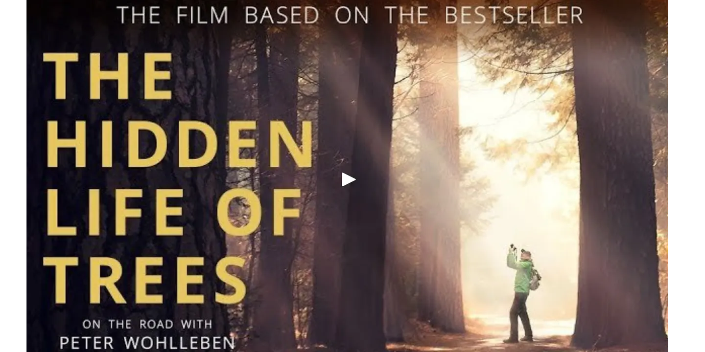 TTV Movie Night - The Hidden Life of Trees