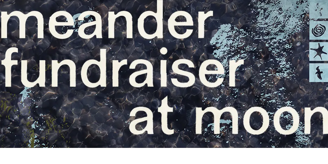 Meander Festival Fundraiser