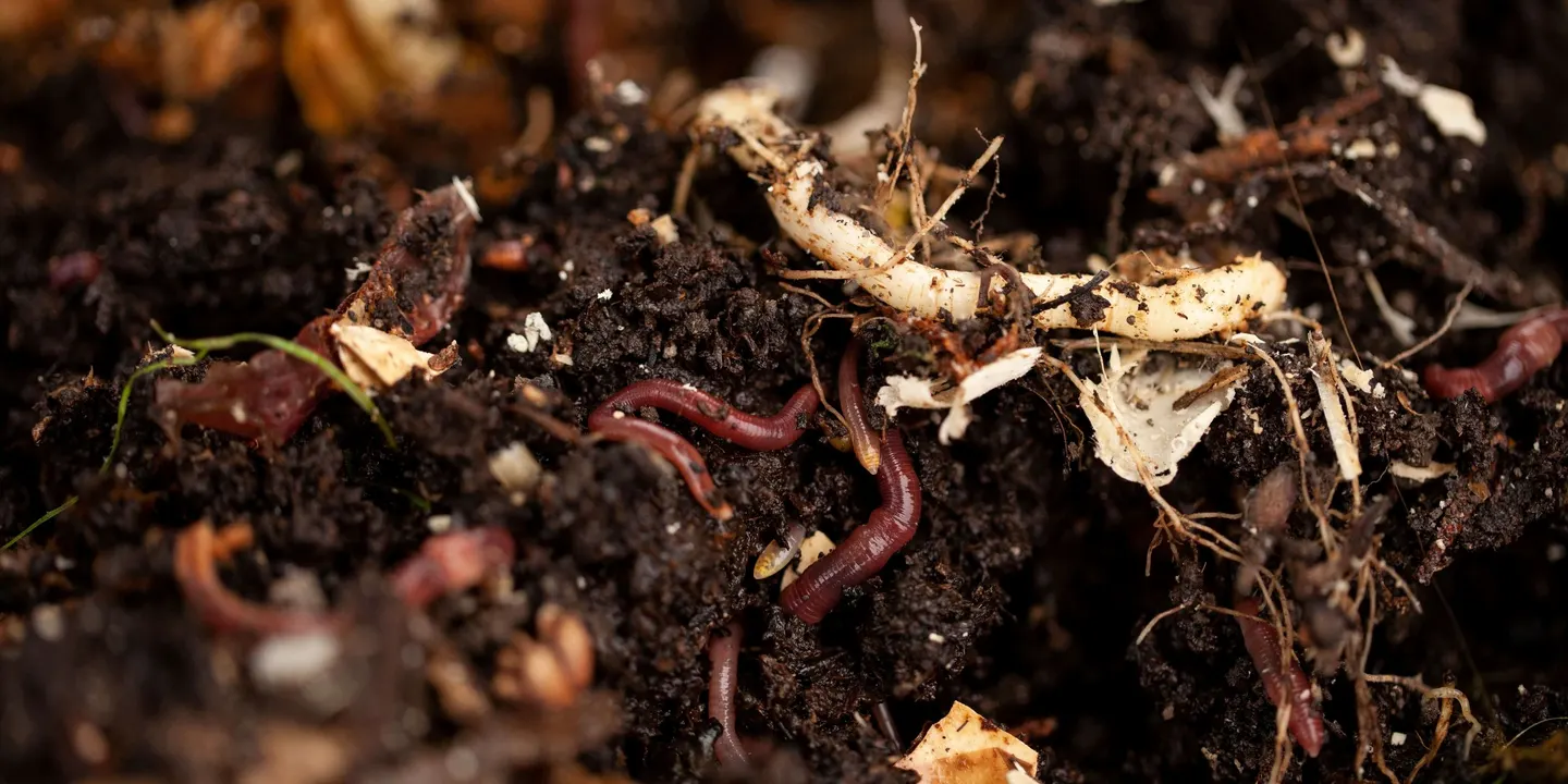 Composting and Building Better Soils with Mary Cole