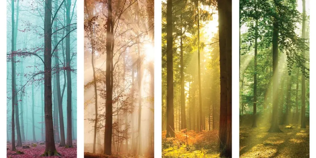 Seasons Of Becoming: Spring Immersion 2026