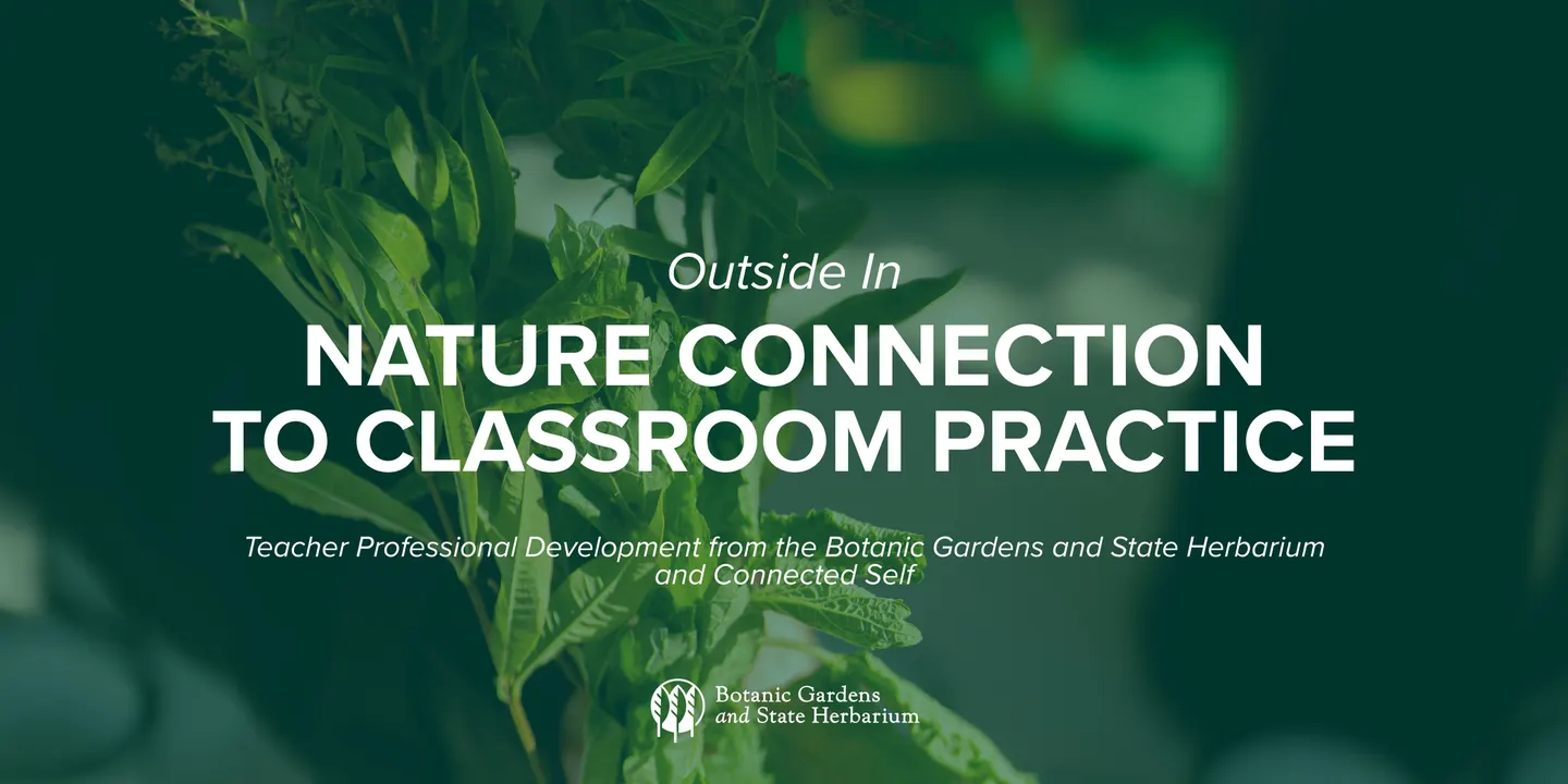 Outside In: Nature Connection to Classroom Practice