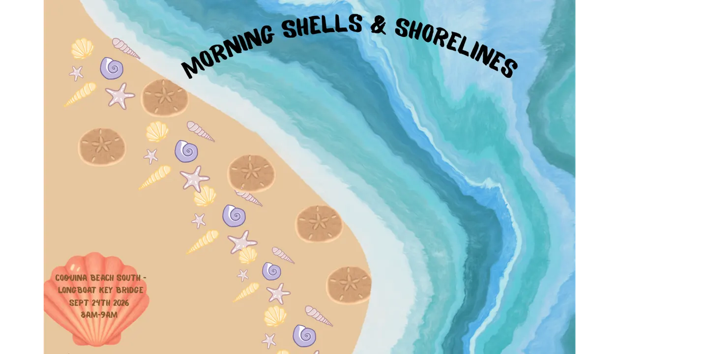 Morning Shells & Shorelines