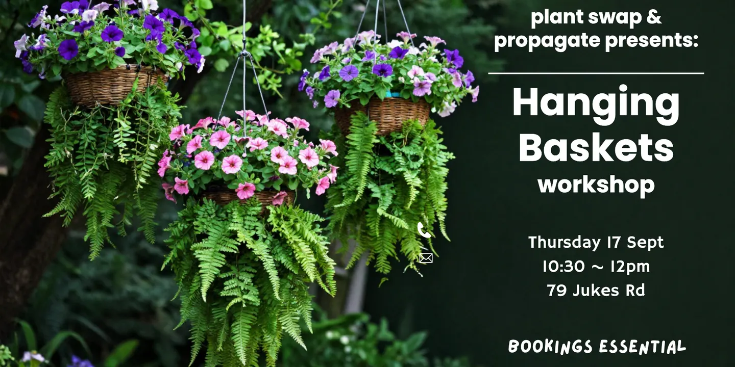 Plant Swap & Propagate presents: Hanging Baskets