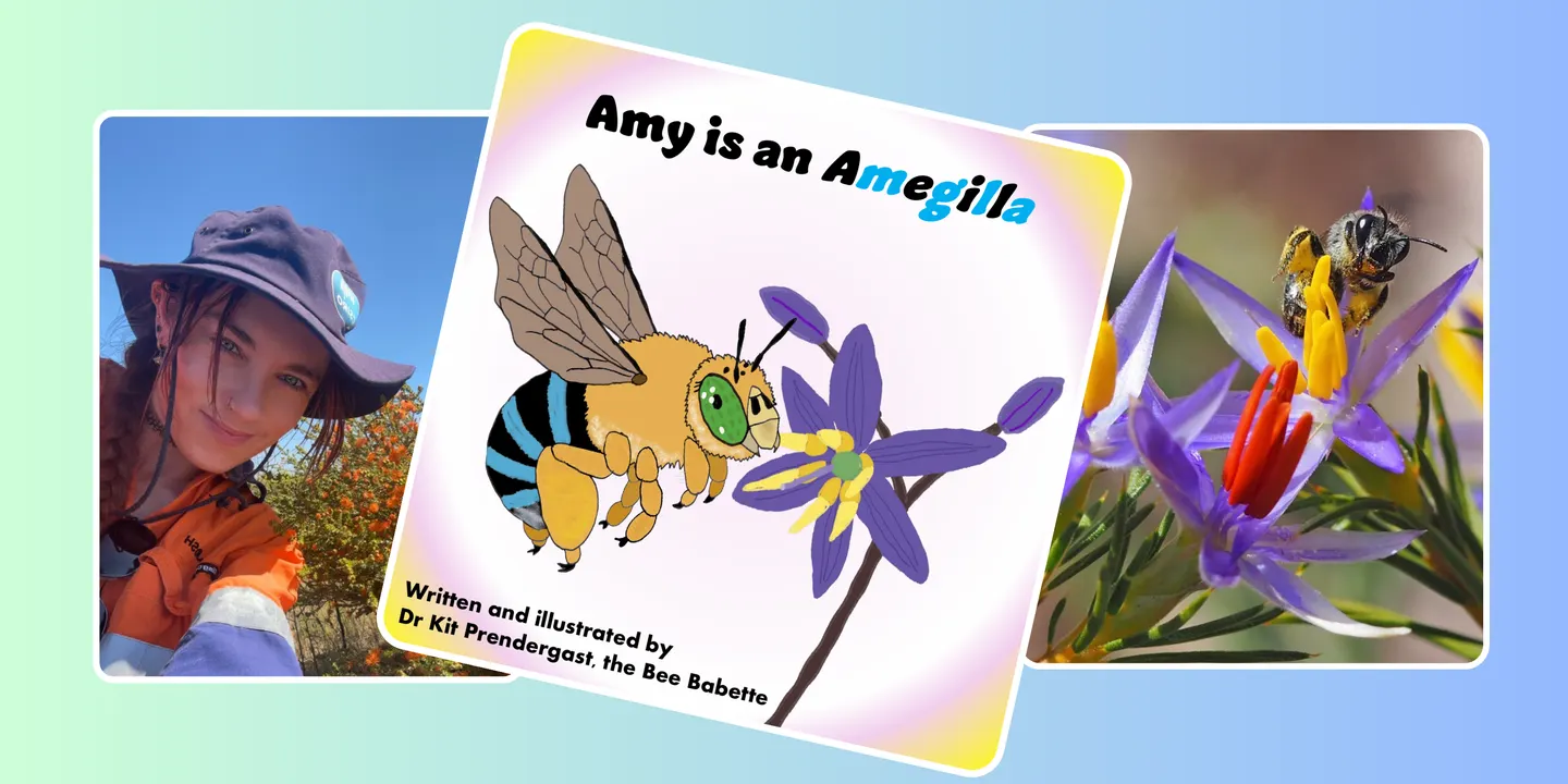 Amy is an Amegilla - Native Bee Storytime with Dr Kit Prendergast (ages 2-5)