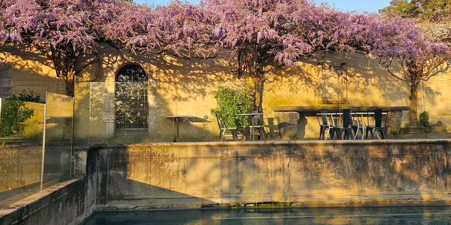 WINE BAR Wisteria Bloom: Special Courtyard Access at Montsalvat
