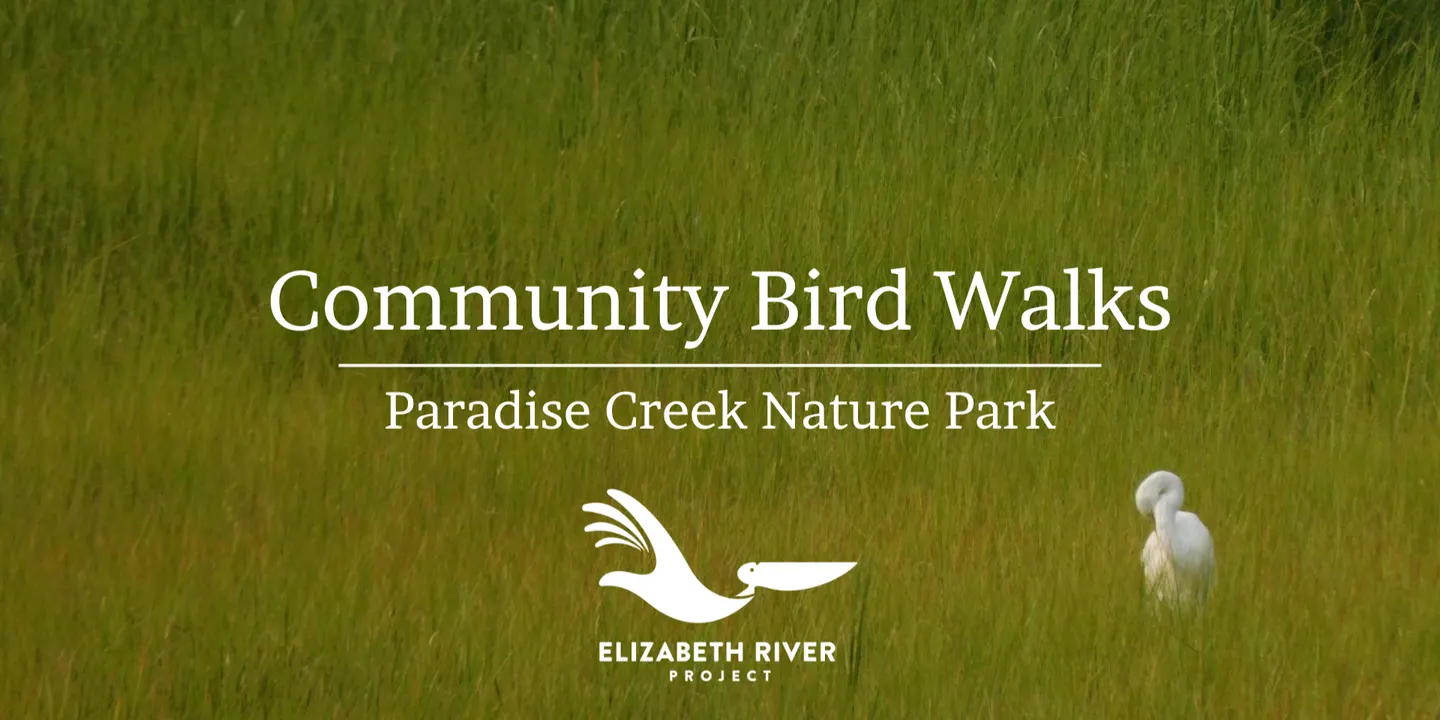 Community Bird Walks at Paradise Creek Nature Park
