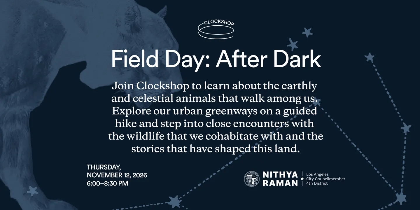 Field Day: After Dark