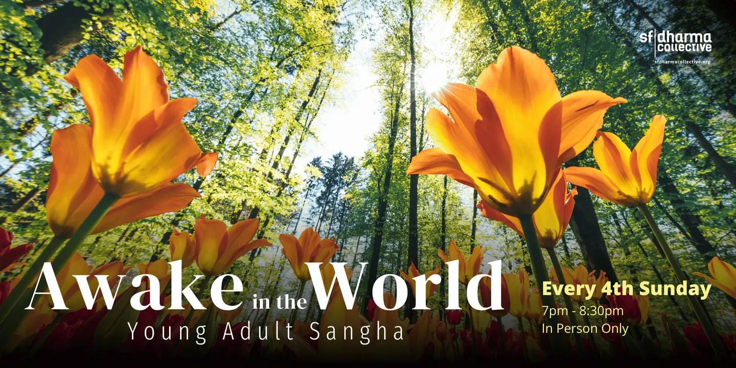 Awake in the World: Young Adult Sangha (In Person)